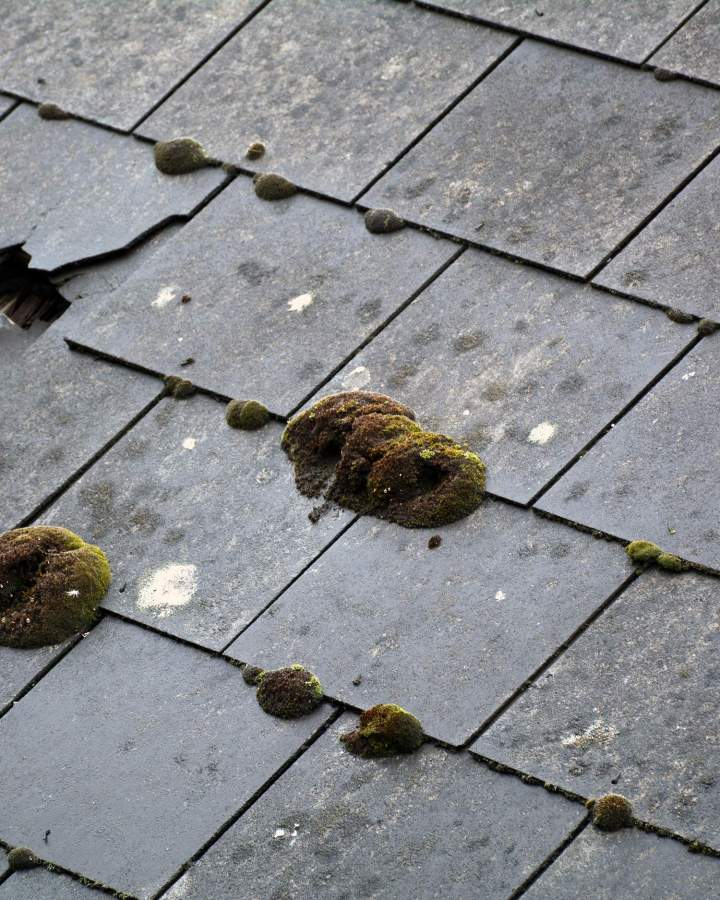 Toiture à nettoyer, Guingamp